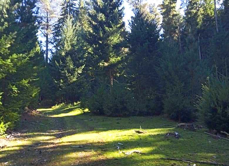 Terreno en Venta en Lago Puelo con · 5.000 m² de lote - Imagen 3