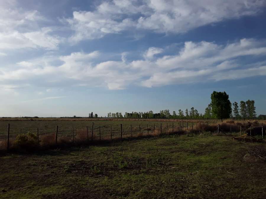 Campo  San Rafael - Imagen