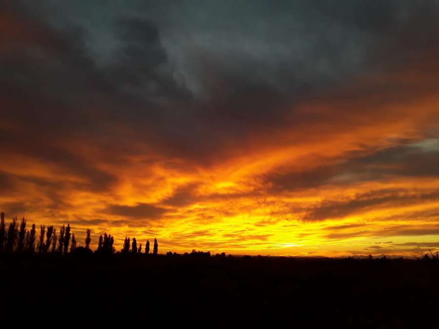 Campo  San Rafael - Imagen