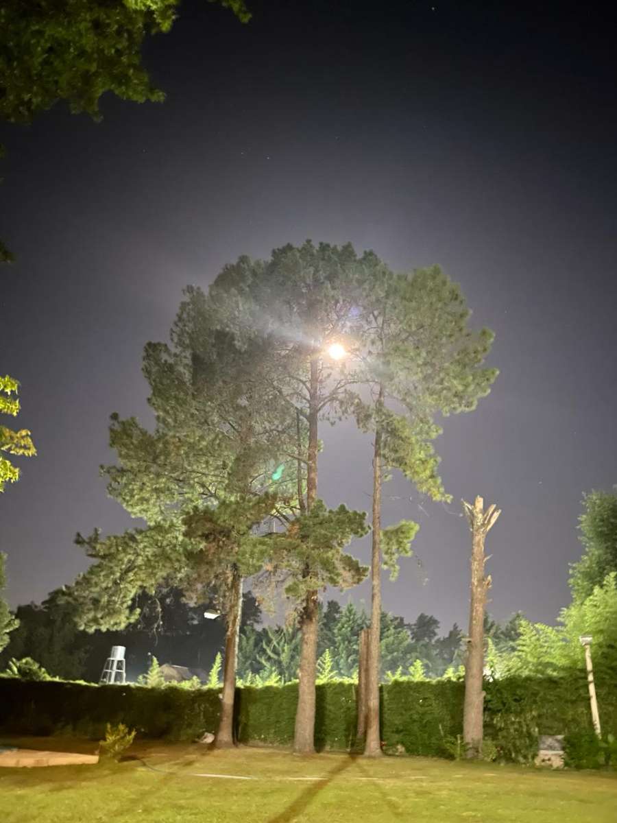 Tu próxima Casa en Venta en Francisco Alvarez · dueño directo · 4 o más dorm · 5 cocheras · 1.900 ha - Imagen 4