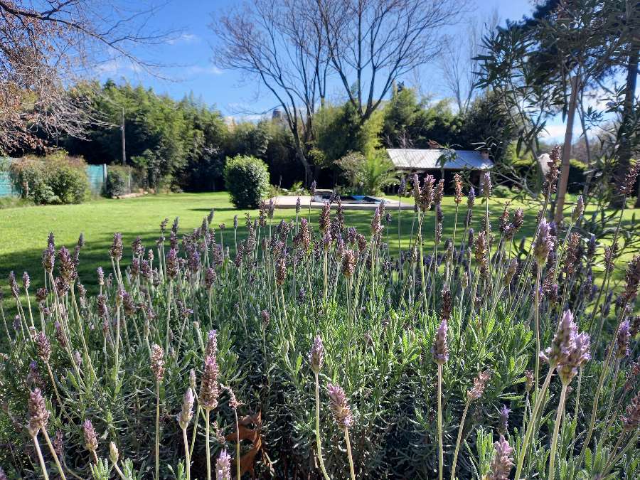 Tu próxima Casa en Venta en Francisco Alvarez · dueño directo · 4 o más dorm · 5 cocheras · 1.900 ha - Imagen 5