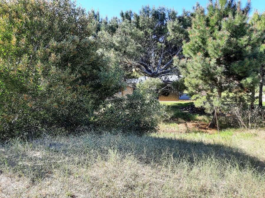 Calle 28 e/Pinamar y Punta del Indio. Las Gaviotas, 