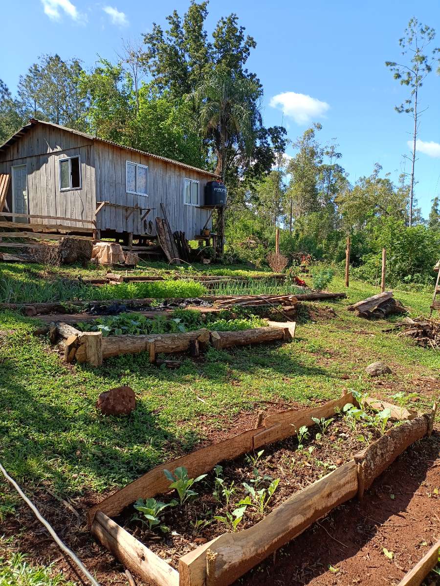 Campo en Venta en Obera · dueño directo · 5 ha - Imagen 2