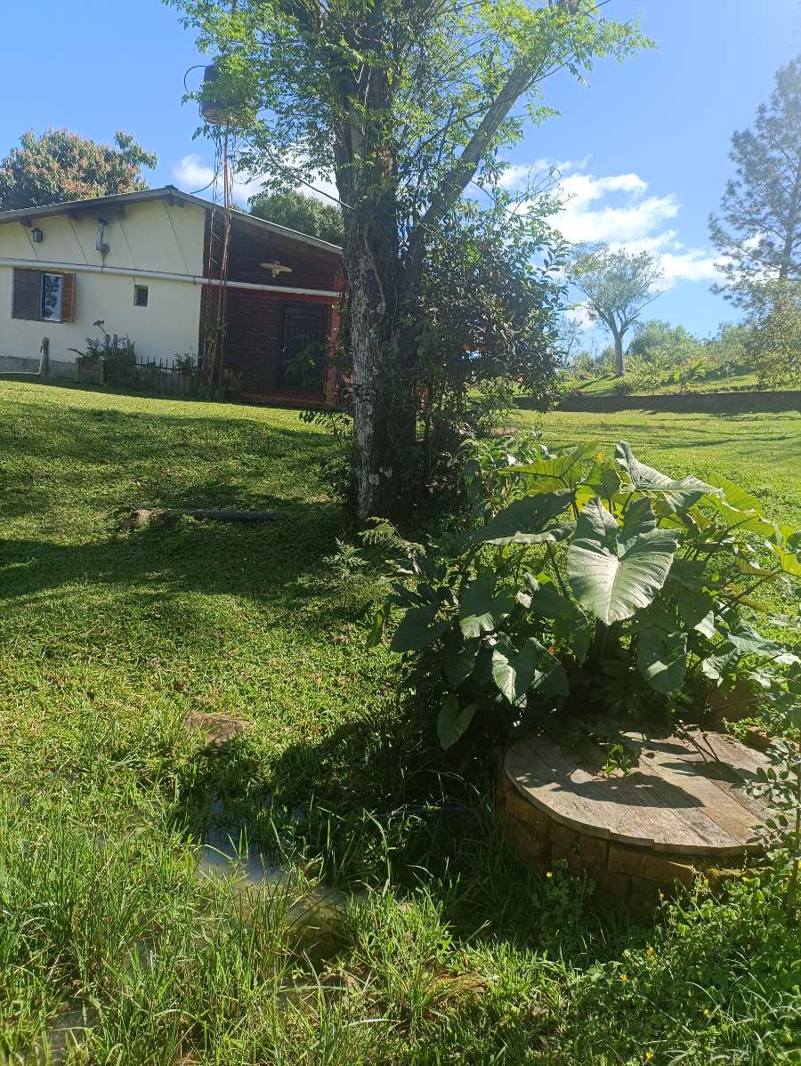 Campo en Venta en Obera · dueño directo · 5 ha - Imagen 3