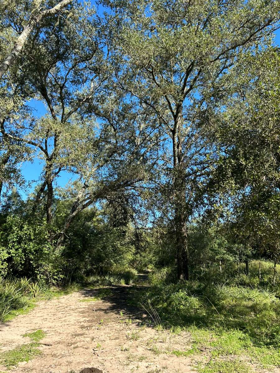 AV. SARMIENTO 326- CAMPO EN LA EDUVIGIS . CHACO, 