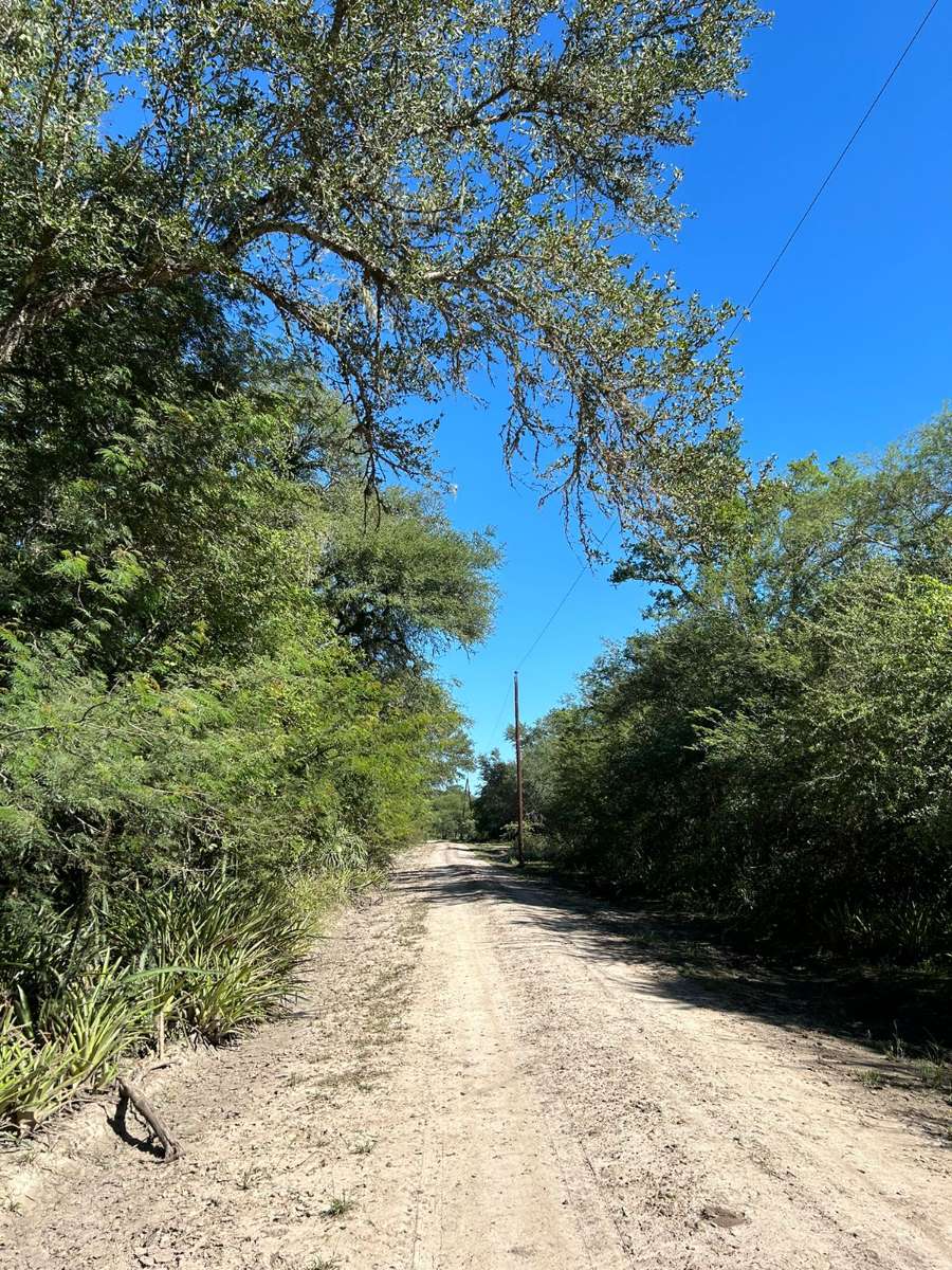 Comprar Campo en Resistencia · 123 ha - Imagen 3