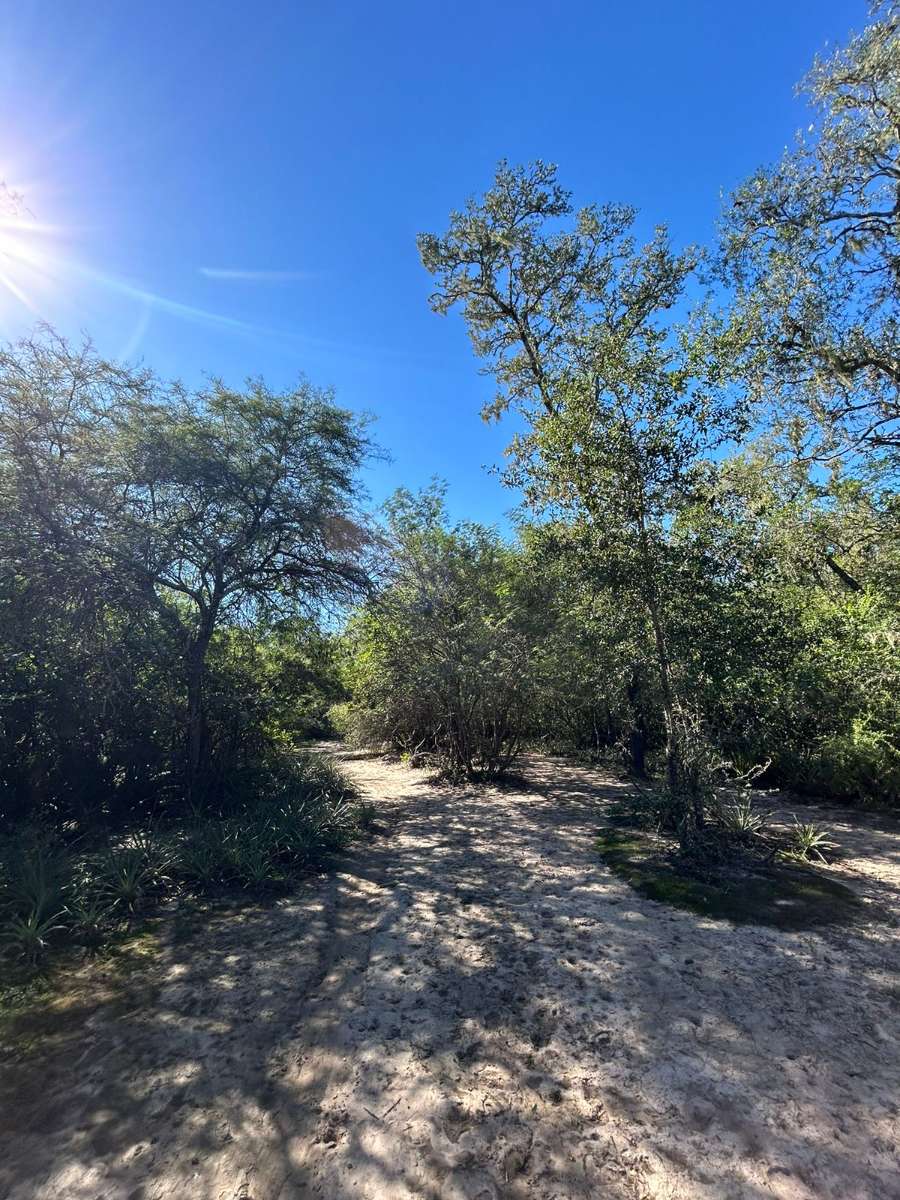 Campo en Venta Av. Sarmiento 326- Campo En La Eduvigis . Chaco, Resistencia - Imagen 6