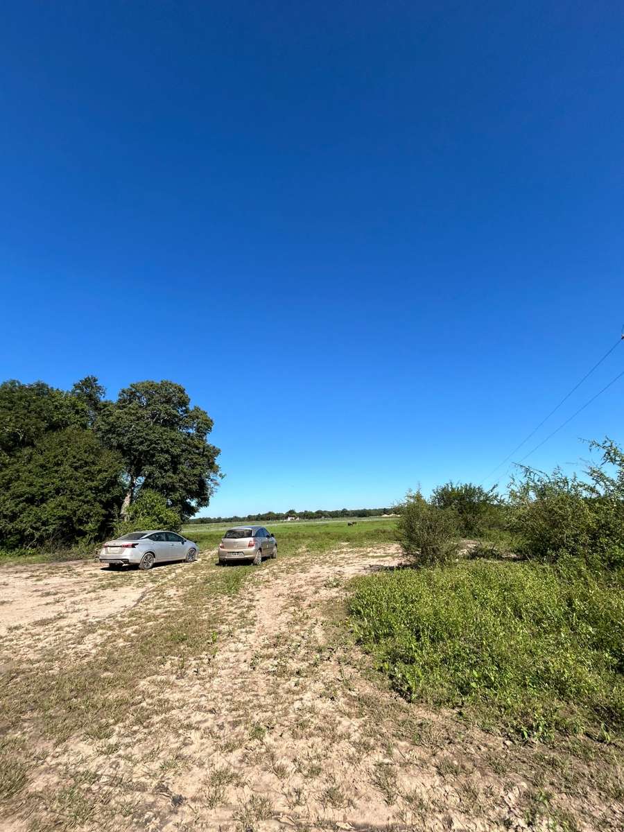 Campo en Venta Av. Sarmiento 326- Campo En La Eduvigis . Chaco, Resistencia - Imagen 7