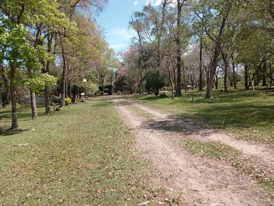 Campo  La Leonesa - Imagen