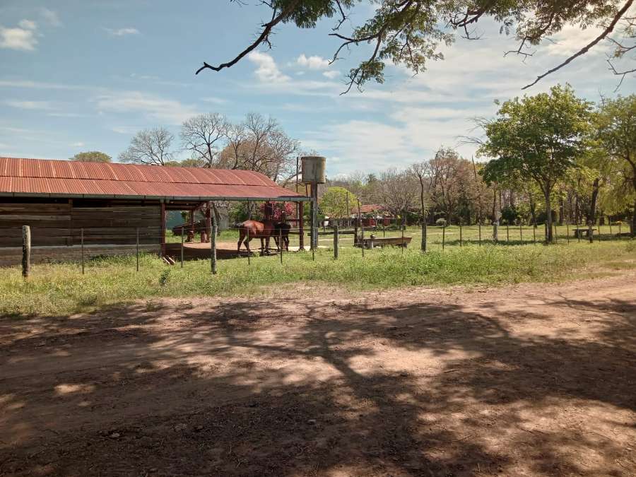 Campo en La Leonesa: en Venta · 3.500 ha - Imagen 2