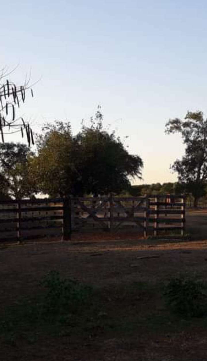 Campo en La Leonesa: en Venta · 3.500 ha - Imagen 5