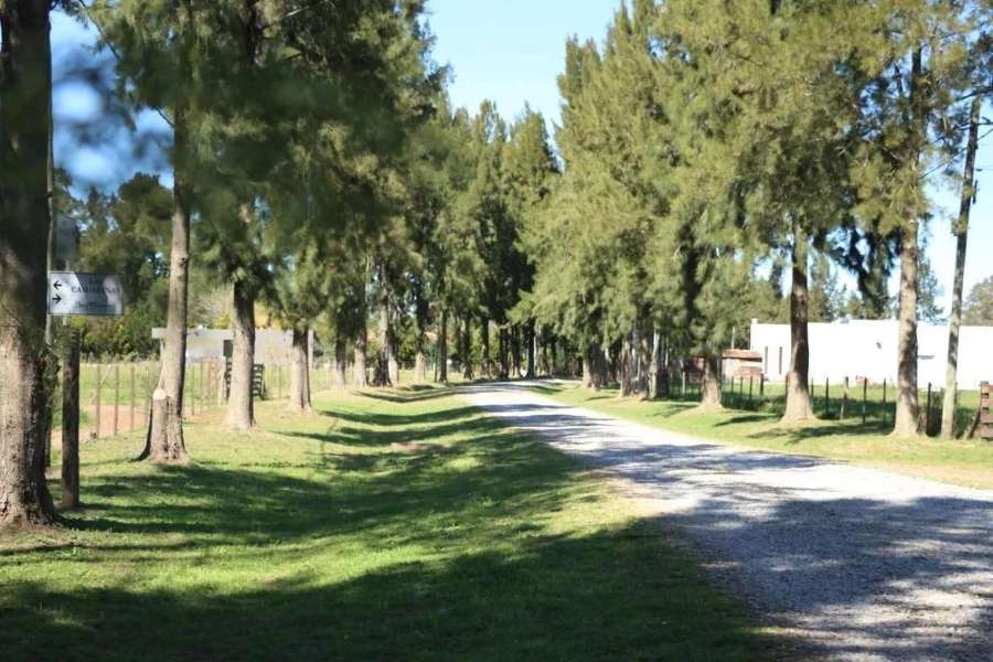 Terreno en Brandsen: en Venta · 5.866 m² de lote · barrio privado · dueño directo - Imagen 2