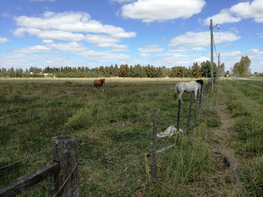 Terreno en Brandsen: en Venta · 5.866 m² de lote · barrio privado · dueño directo - Imagen 4