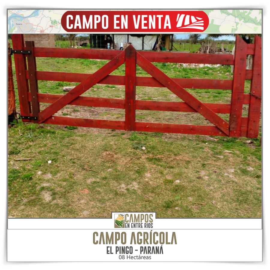 Campo  Paraná - Imagen