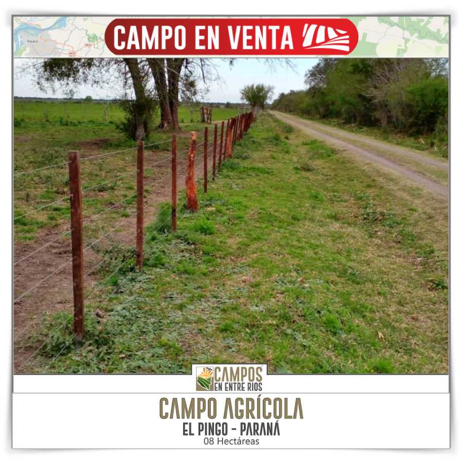 Campo  Paraná - Imagen