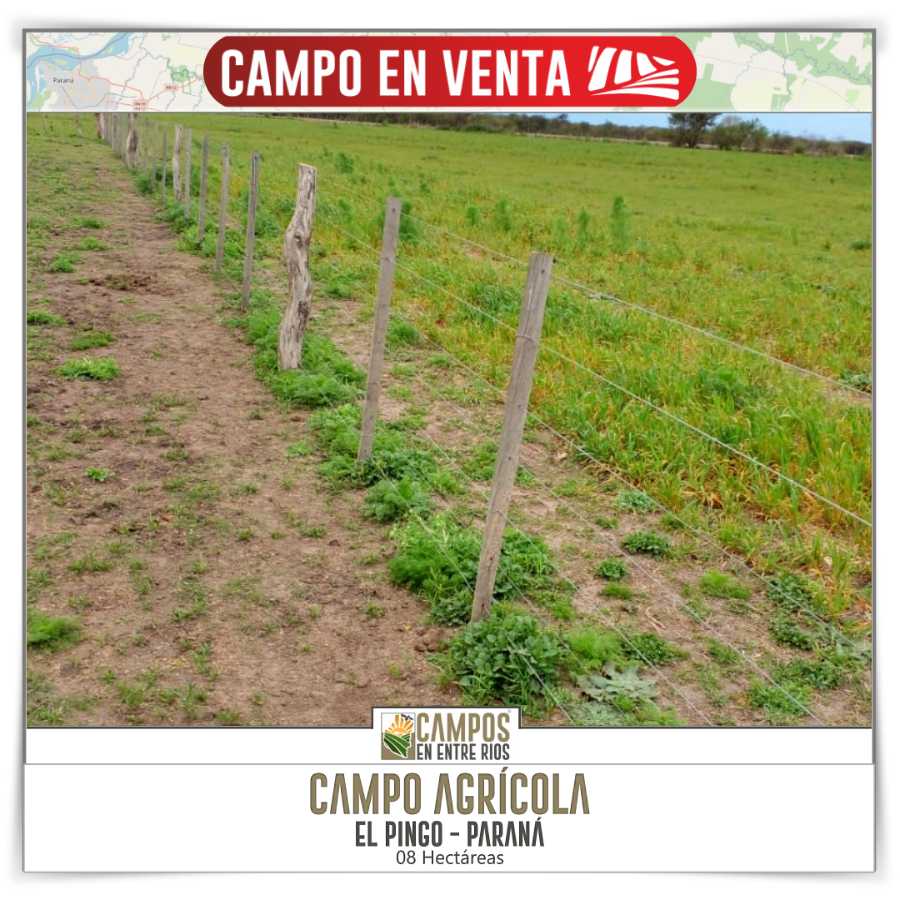 Campo  Paraná - Imagen