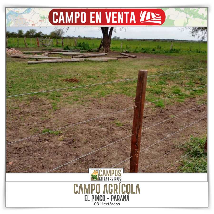Campo  Paraná - Imagen