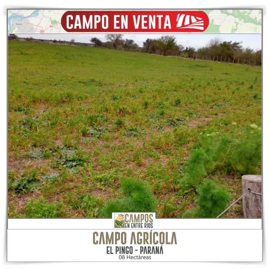 Campo  Paraná - Imagen