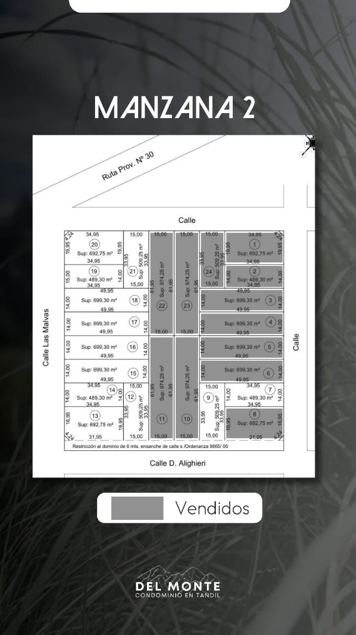 En Tandil, Terreno en Venta · frente 14 m · largo 4.995 m · 1.500 m² de lote · barrio privado - Imagen 2