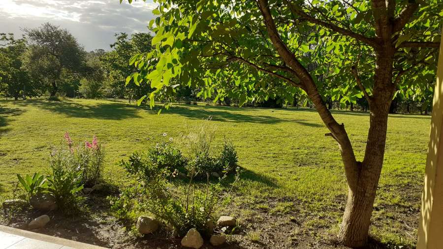 Casa única en Villa General Belgrano en Venta · 3 dorm · cochera · 500 ha - Imagen 5