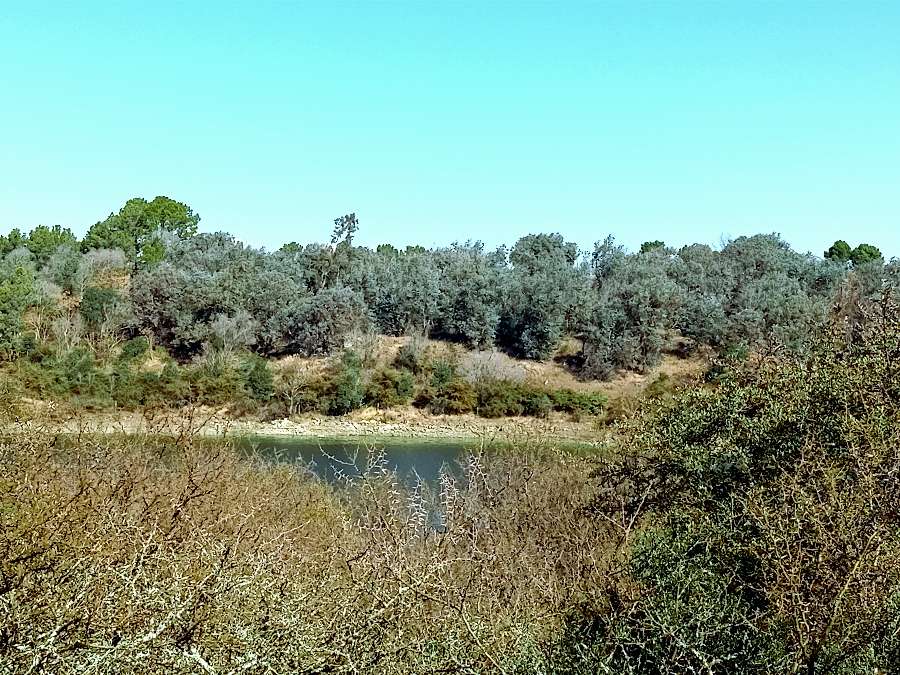 Terreno disponible en Villa General Belgrano · frente 40 m · largo 62 m · 2.500 m² de lote - Imagen 3