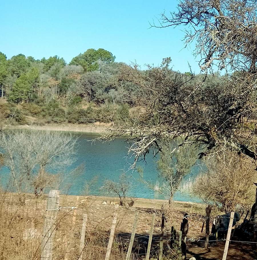 Terreno disponible en Villa General Belgrano · frente 40 m · largo 62 m · 2.500 m² de lote - Imagen 2