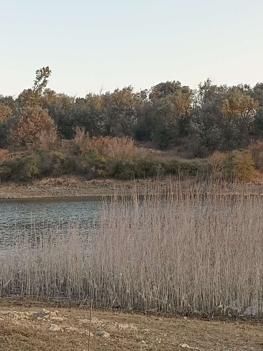 Terreno disponible en Villa General Belgrano · frente 40 m · largo 62 m · 2.500 m² de lote - Imagen 4