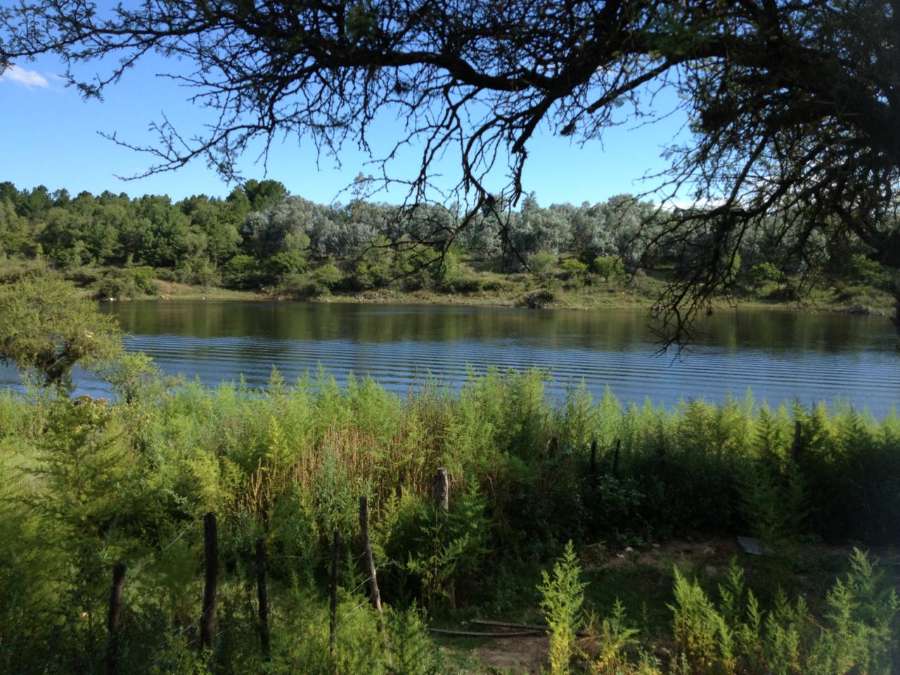 Terreno disponible en Villa General Belgrano · frente 40 m · largo 62 m · 2.500 m² de lote - Imagen 1