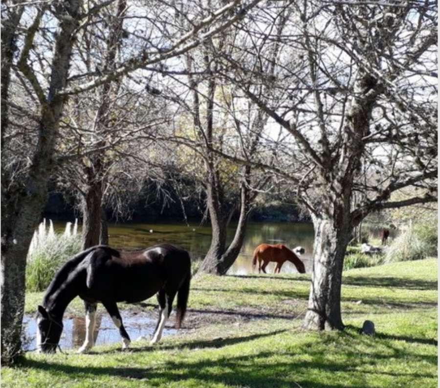 Casa Villa General Belgrano - Imagen