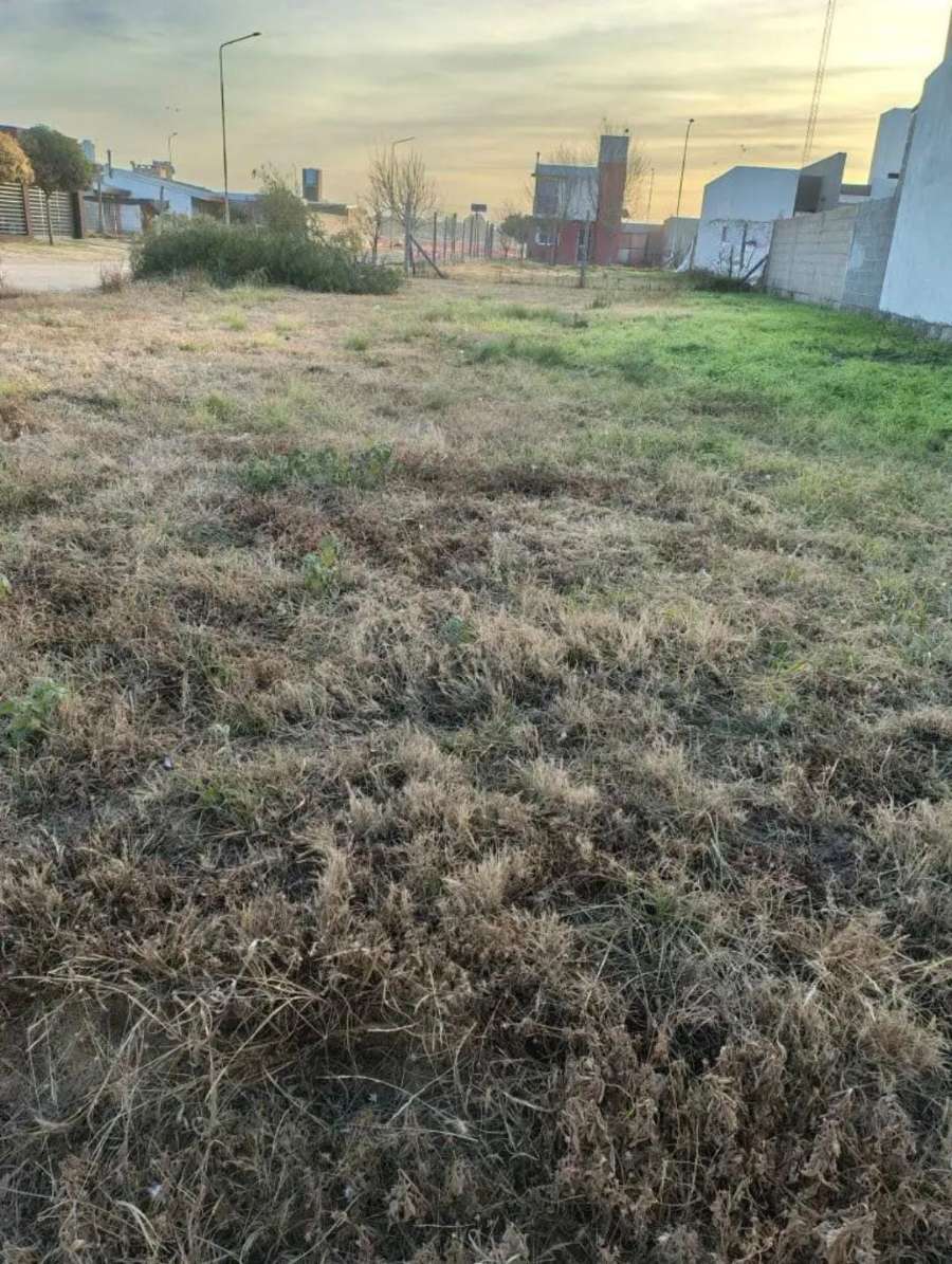 Terreno  Las Higueras - Imagen