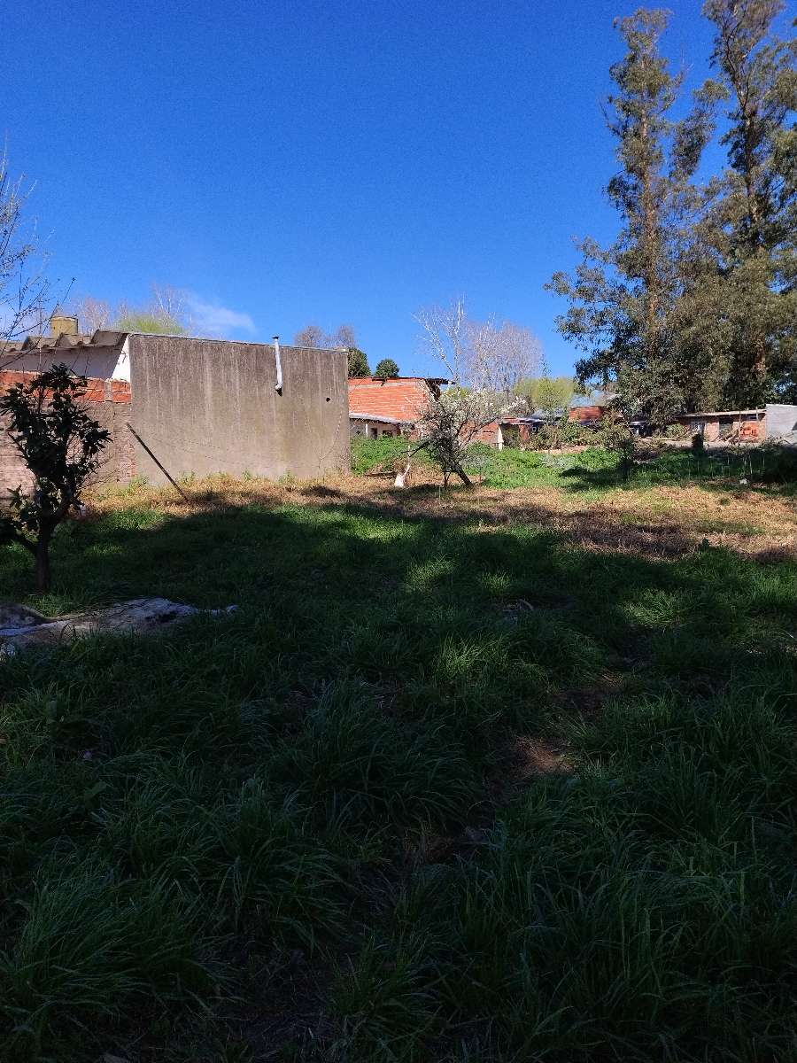 Terreno  Mar del Plata - Imagen