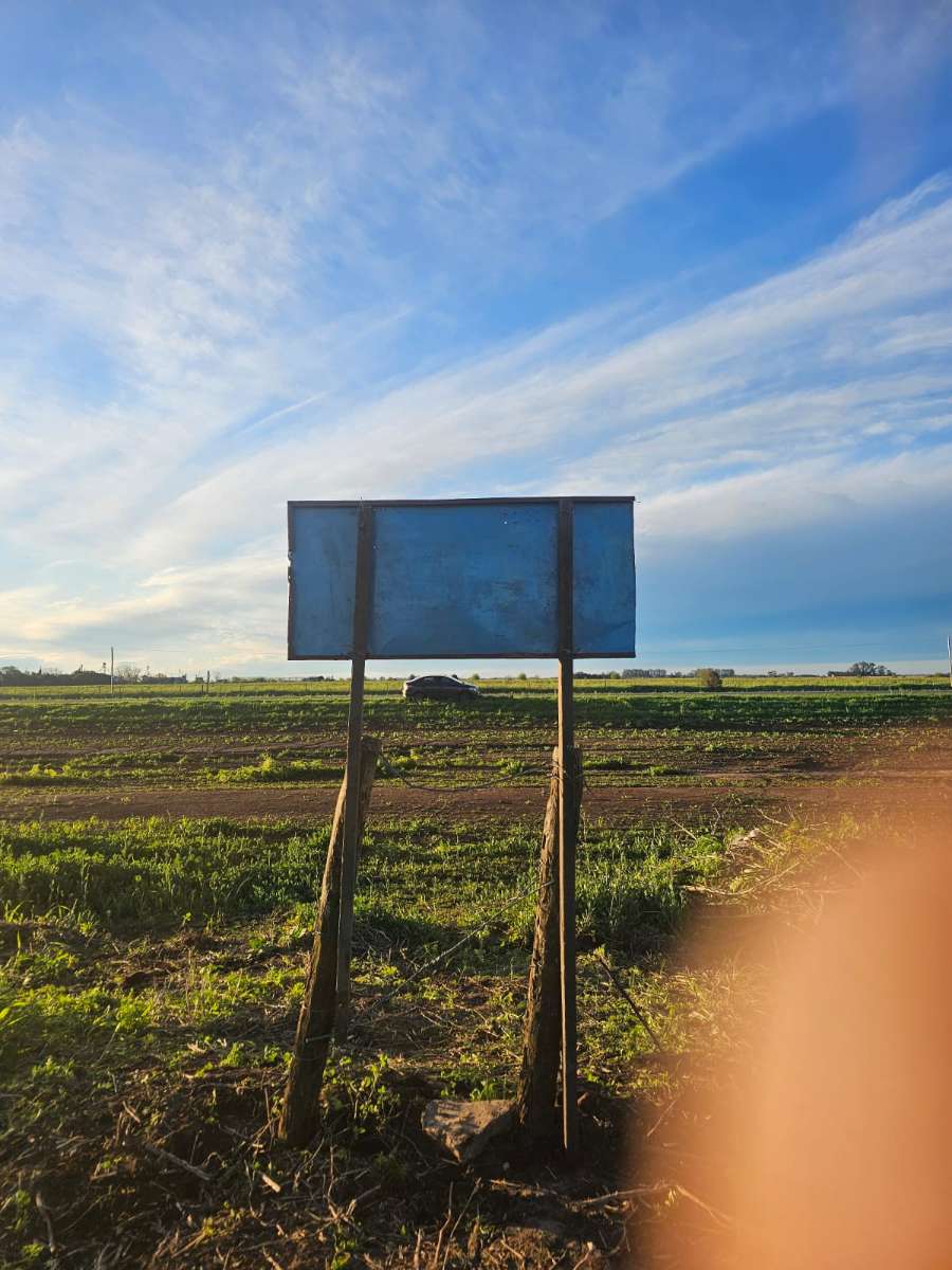 Campo en Rueda: en Venta · dueño directo · 2 ha - Imagen 2