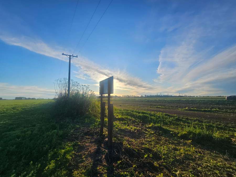Campo en Rueda: en Venta · dueño directo · 2 ha - Imagen 3