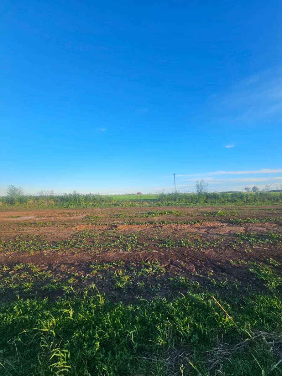 Campo en Rueda: en Venta · dueño directo · 2 ha - Imagen 5