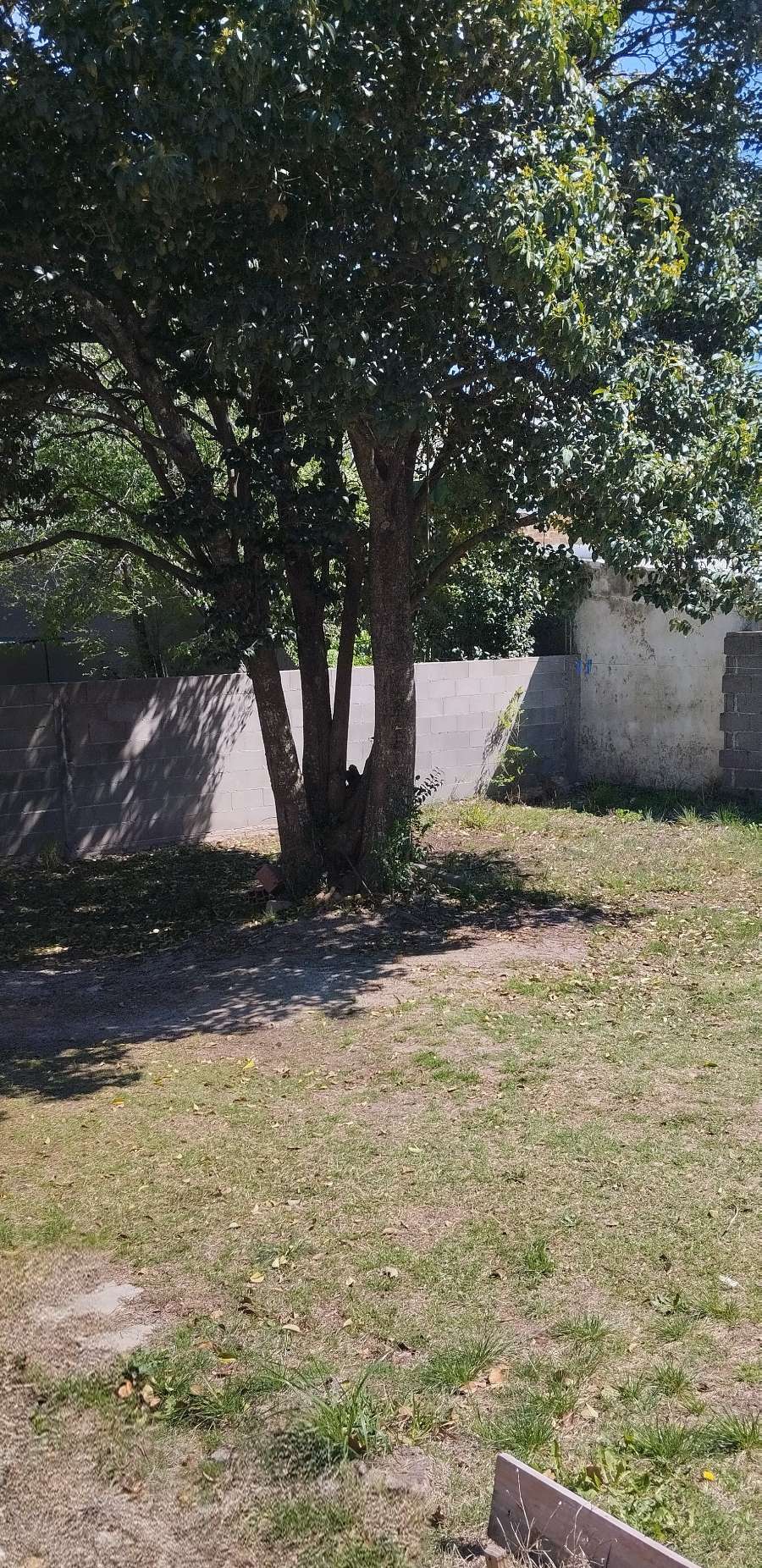 Casa en Venta Francisco Ramírez 310, Villa Giardino - Imagen 11