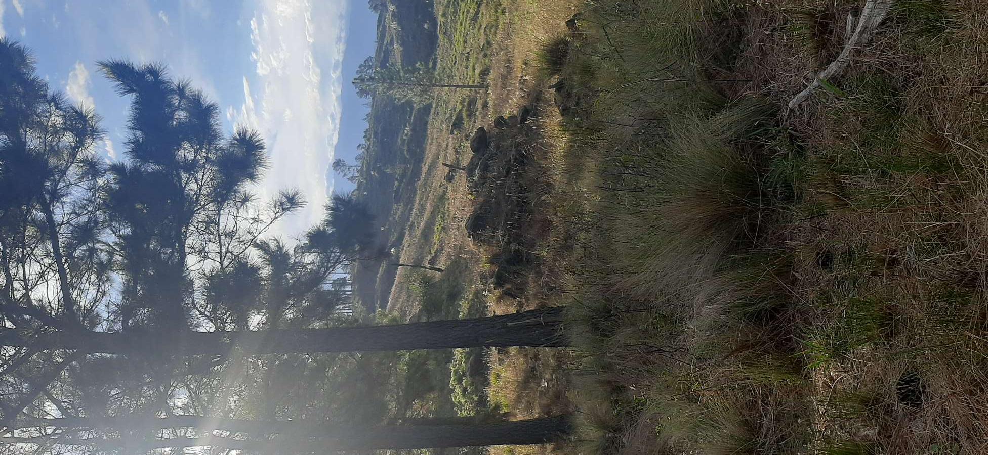 Excelente Campo en San Miguel de Los Rios en Venta · dueño directo · 50 ha - Imagen 2