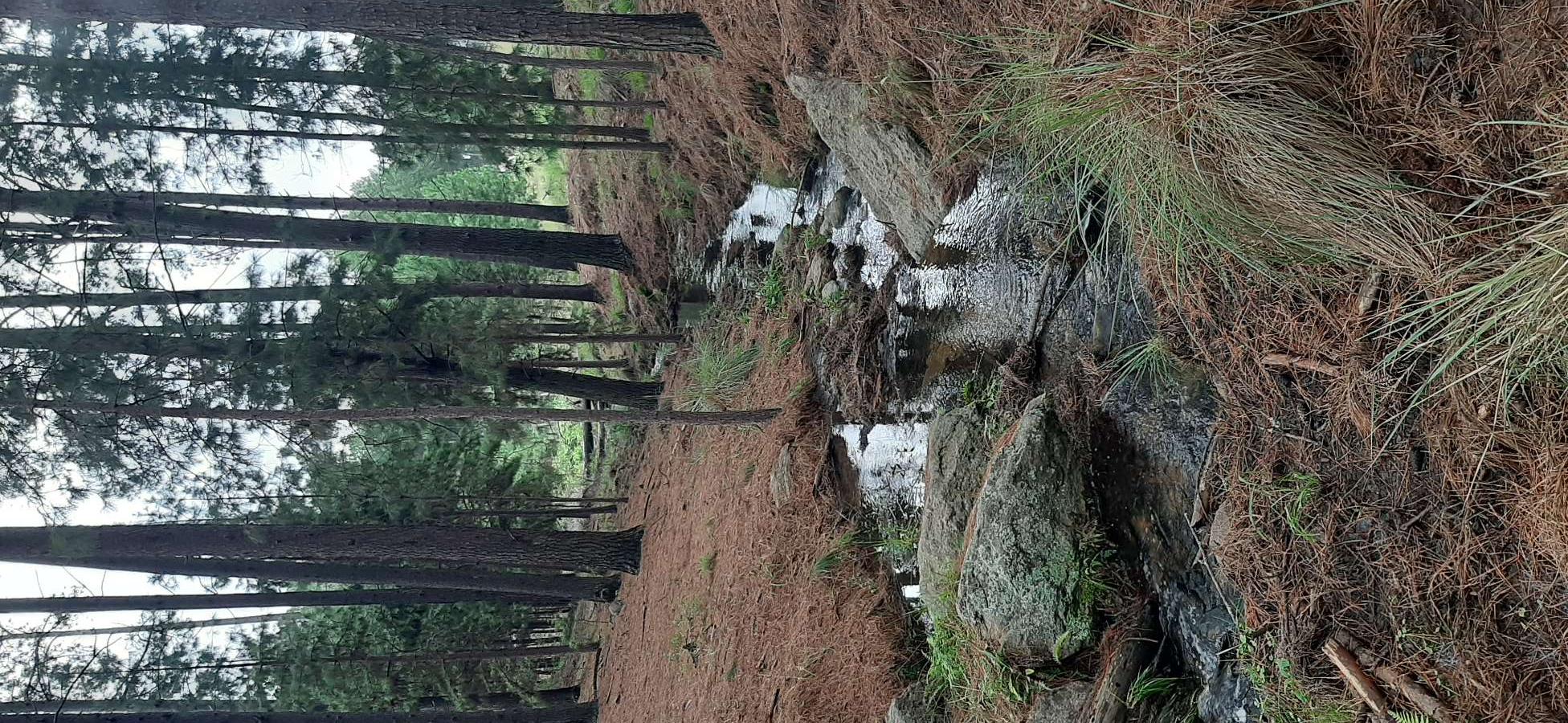 Excelente Campo en San Miguel de Los Rios en Venta · dueño directo · 50 ha - Imagen 4