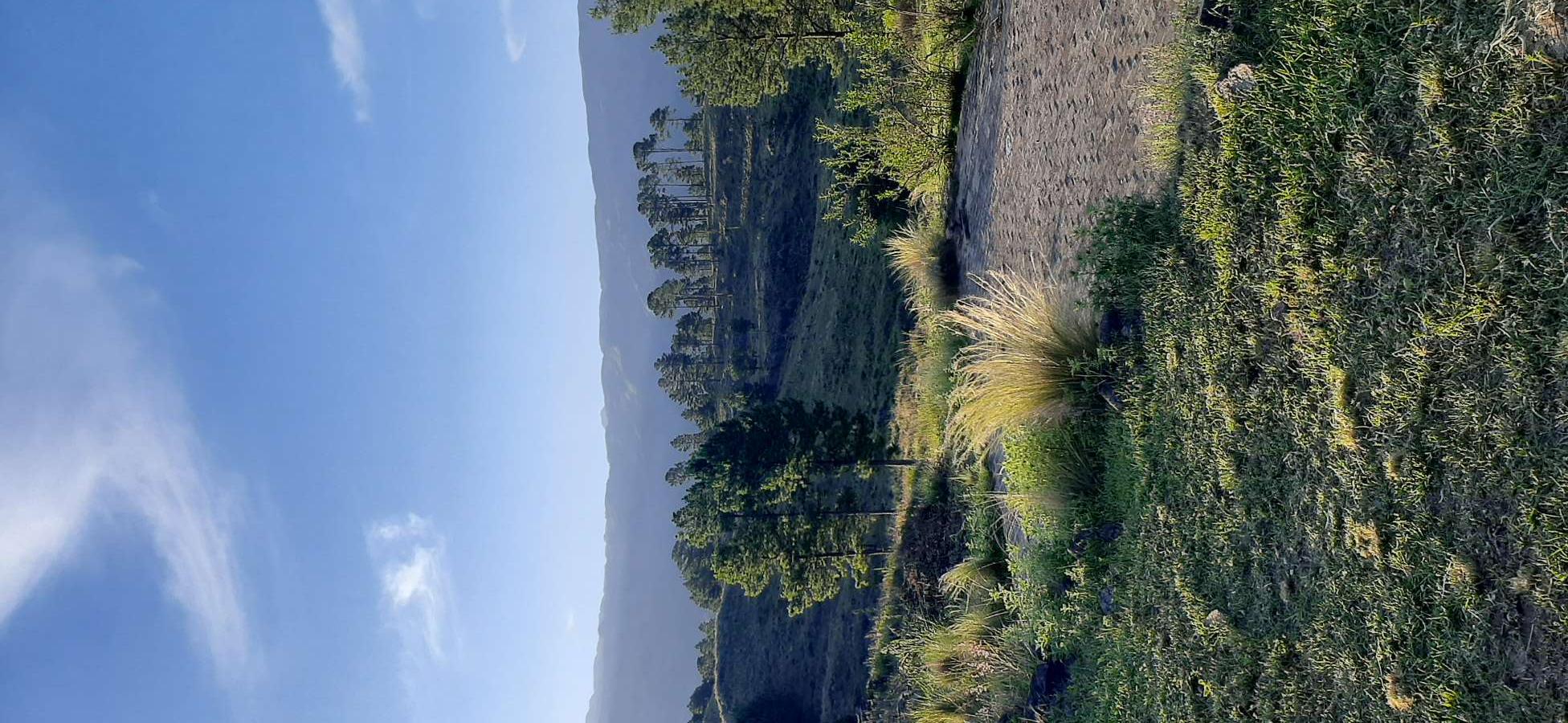 Excelente Campo en San Miguel de Los Rios en Venta · dueño directo · 50 ha - Imagen 5