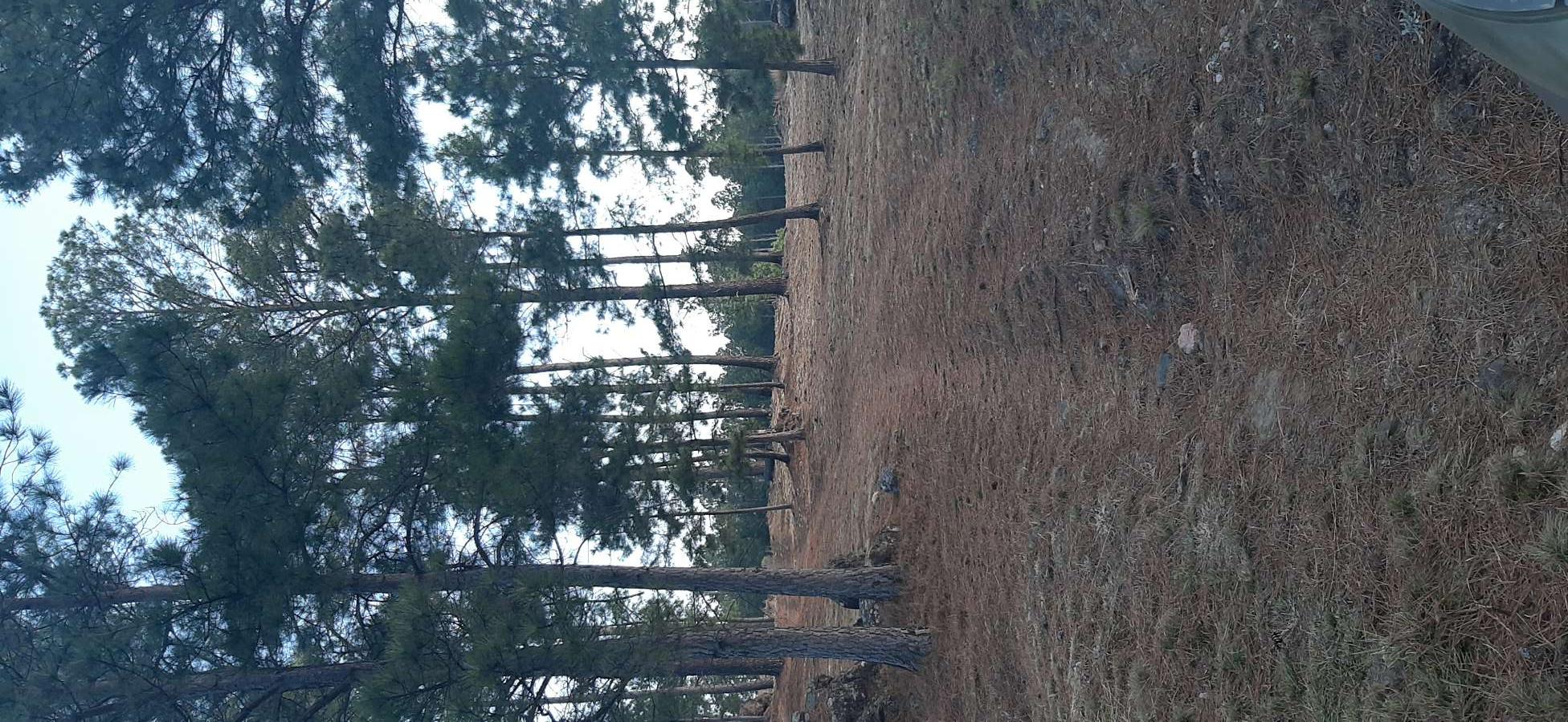 Campo  San Miguel de Los Rios - Imagen