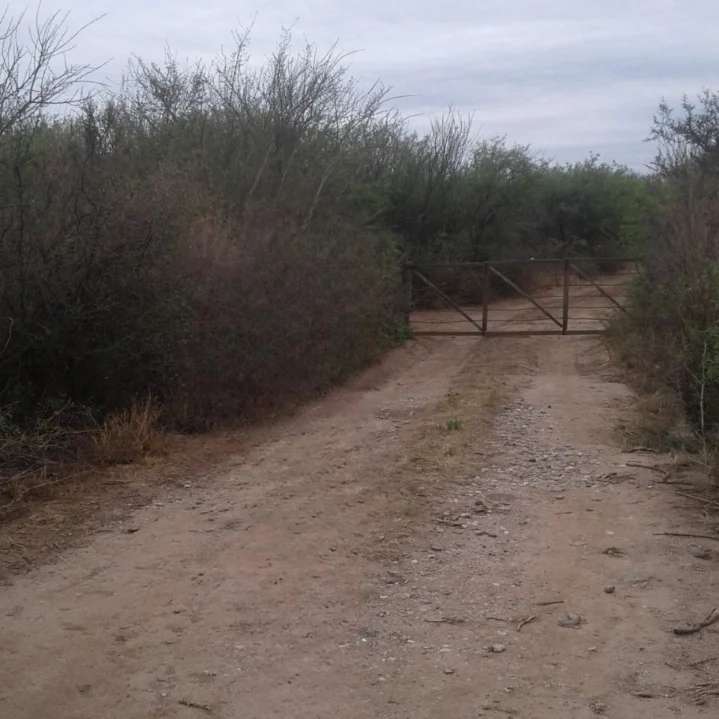Campo en Cortaderas para en Venta · 2.451 ha - Imagen 1