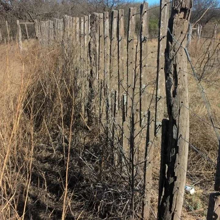 Campo en Cortaderas para en Venta · 2.451 ha - Imagen 2