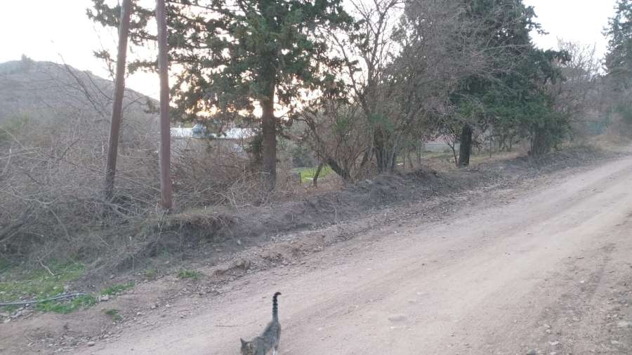 Comprar Terreno en Río Cuarto · 440 m² de lote - Imagen 1