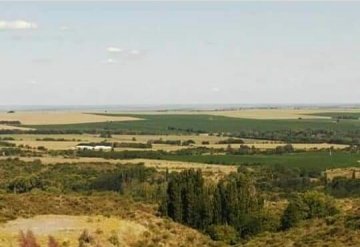 Campo en Venta en San Luis, · 5 ha - Imagen 2