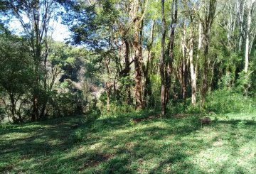 Chacra en Venta , El Soberbio - Imagen 7