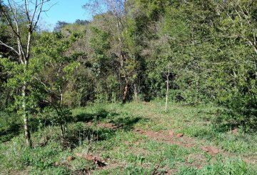 Chacra en Venta , El Soberbio - Imagen 8