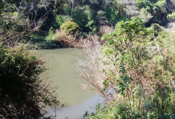 Chacra en Venta , El Soberbio - Imagen 5