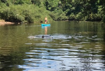 Chacra en Venta , El Soberbio - Imagen 10