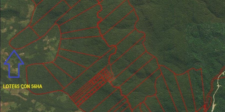 Campo  El Soberbio - Imagen