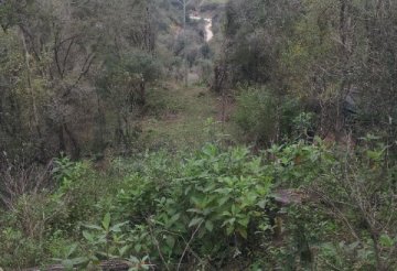 Terreno rural edificable de  hectáreas apto para emprendimiento forestacion - San Salvador de Jujuy - Imagen 1