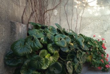 Duplex en Venta Almafuerte 1500, Rosario - Imagen 8